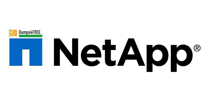 NetApp NS0-173 Exam Dumps